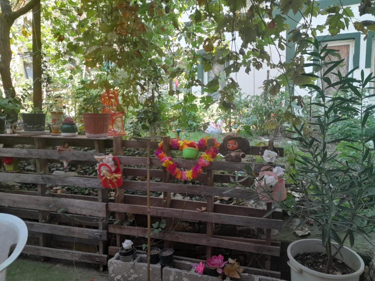 Bed and Breakfast Adem'S Cozy Terrace Retreat Skopje Exterior foto