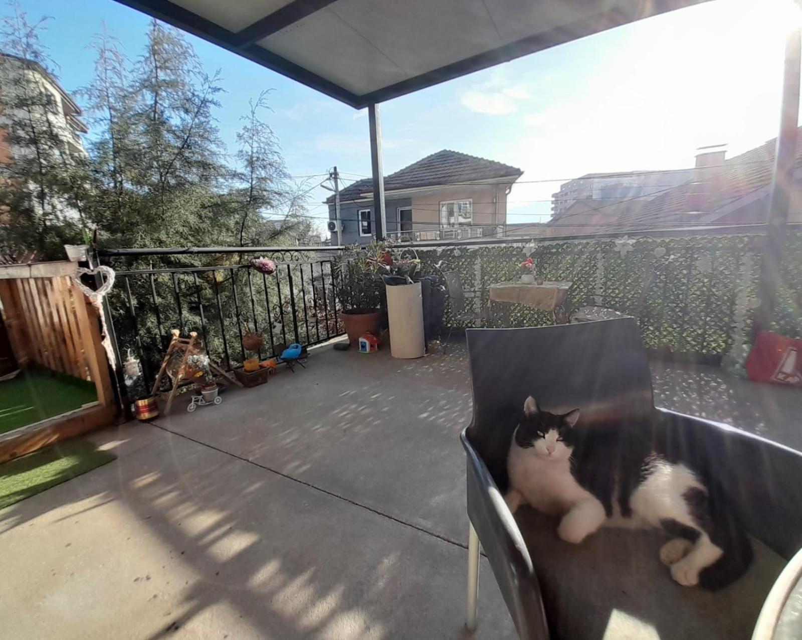 Bed and Breakfast Adem'S Cozy Terrace Retreat Skopje Exterior foto