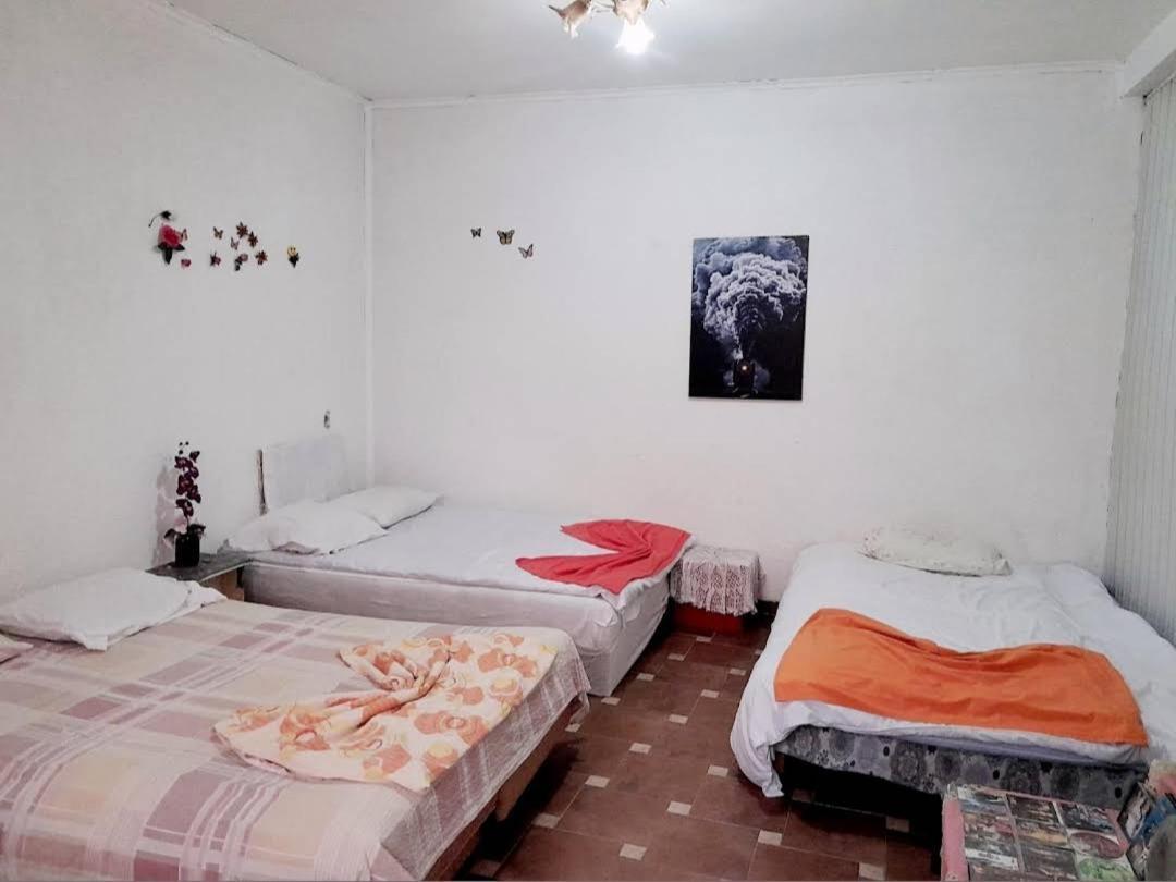 Bed and Breakfast Adem'S Cozy Terrace Retreat Skopje Exterior foto